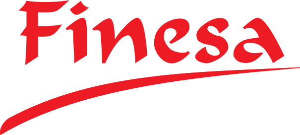 Finesa